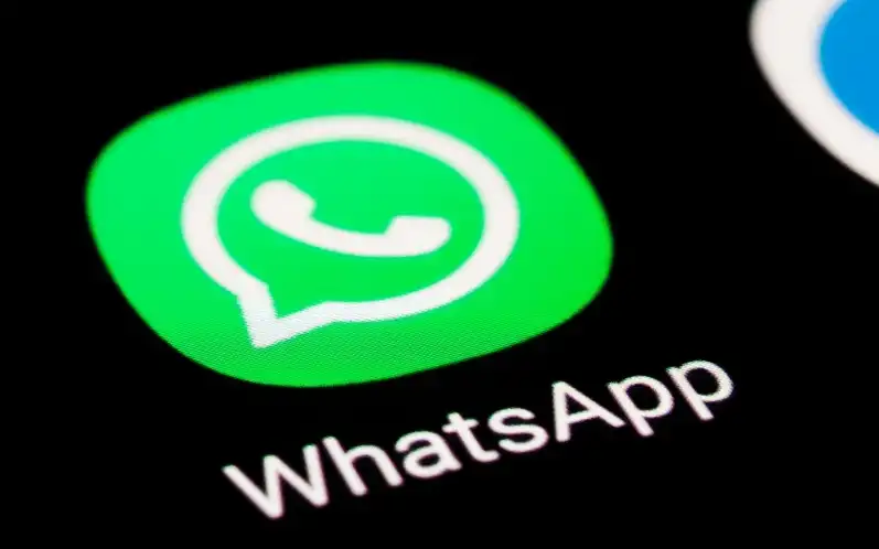 WhatsAPP容易掉？新号14天养号教程